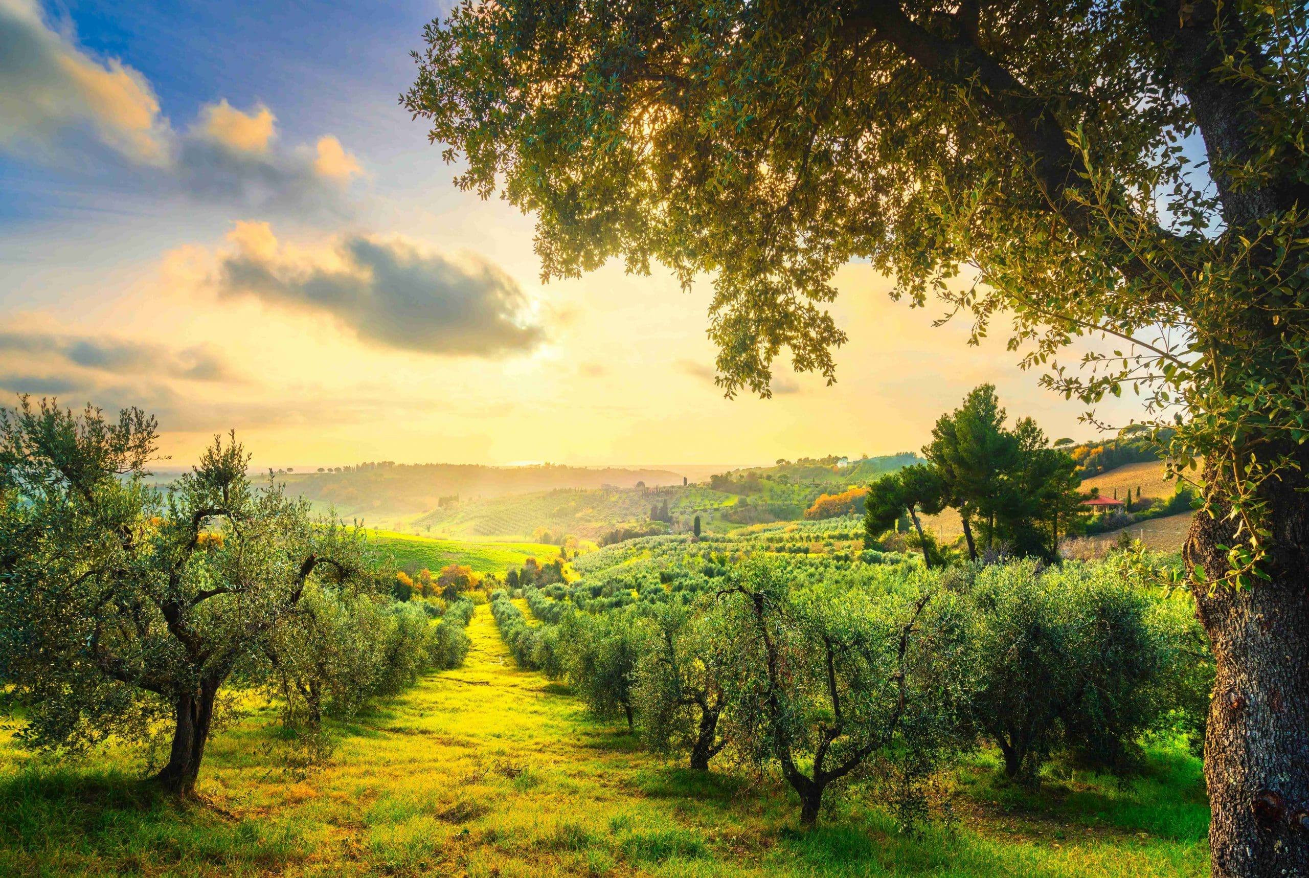 european scenic train journeys